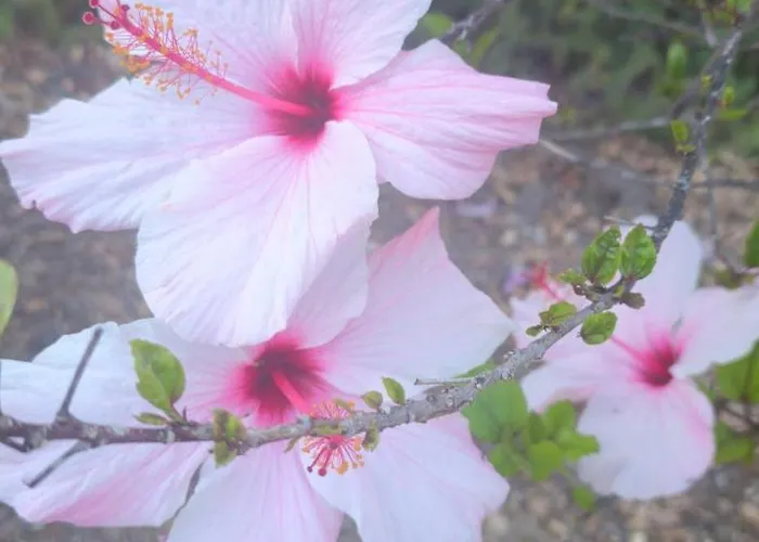 Feriehus A Due Passi Dal Mare Porto Empedocle