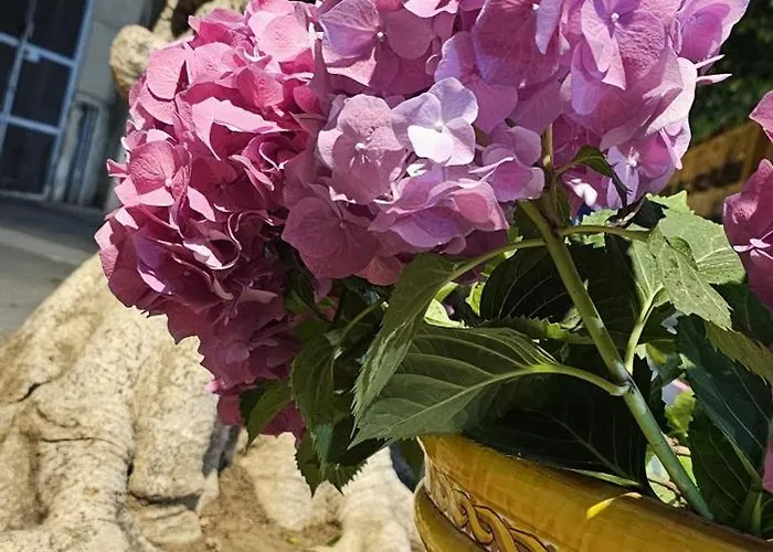 A Due Passi Dal Mare * Porto Empedocle